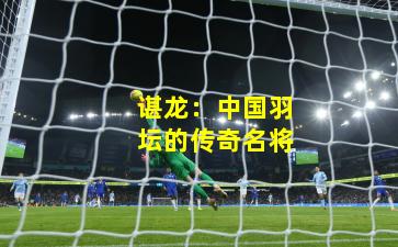 谌龙：中国羽坛的传奇名将