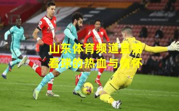 山东体育频道直播看球的热血与情怀